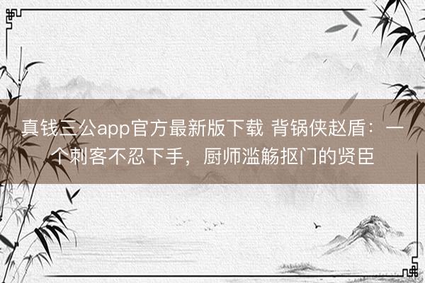 真钱三公app官方最新版下载 背锅侠赵盾:一个刺客不忍下手,厨师滥觞抠门的贤臣
