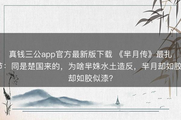 真钱三公app官方最新版下载 《芈月传》最扎心细节：同是楚国来的，为啥芈姝水土造反，芈月却如胶似漆？