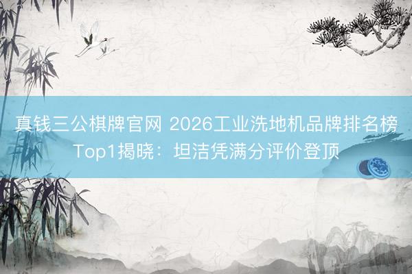 真钱三公棋牌官网 2026工业洗地机品牌排名榜Top1揭晓:坦洁凭满分评价登顶