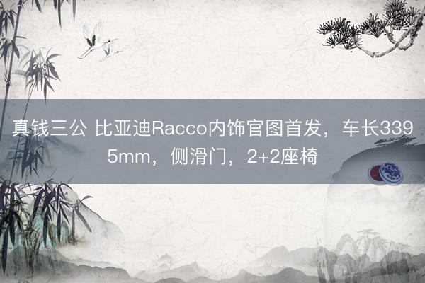 真钱三公 比亚迪Racco内饰官图首发,车长3395mm,侧滑门,2+2座椅