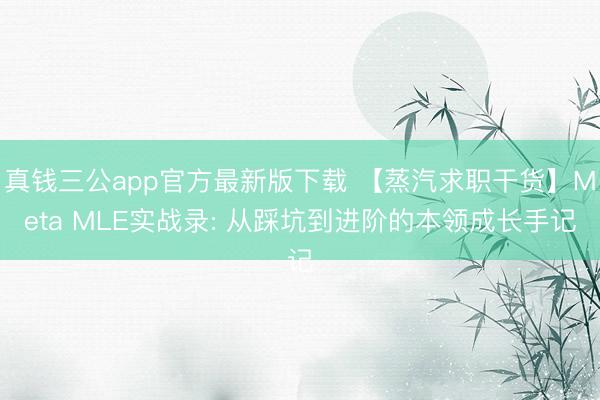 真钱三公app官方最新版下载 【蒸汽求职干货】Meta MLE实战录: 从踩坑到进阶的本领成长手记