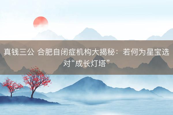 真钱三公 合肥自闭症机构大揭秘：若何为星宝选对“成长灯塔”