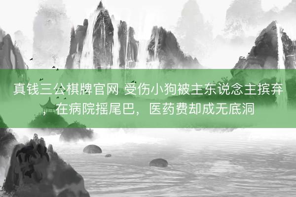 真钱三公棋牌官网 受伤小狗被主东说念主摈弃，在病院摇尾巴，医药费却成无底洞