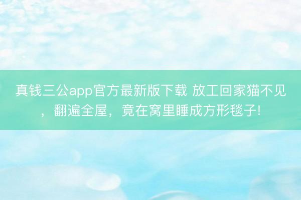 真钱三公app官方最新版下载 放工回家猫不见，翻遍全屋，竟在窝里睡成方形毯子!