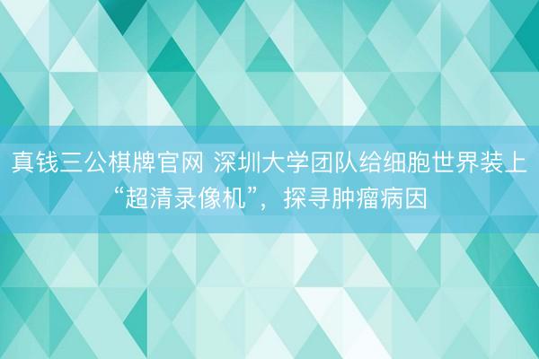 真钱三公棋牌官网 深圳大学团队给细胞世界装上“超清录像机”,探寻肿瘤病因