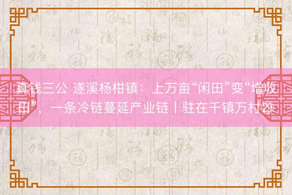 真钱三公 遂溪杨柑镇：上万亩“闲田”变“增收田”，一条冷链蔓延产业链丨驻在千镇万村㉙