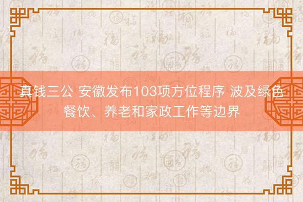 真钱三公 安徽发布103项方位程序 波及绿色餐饮、养老和家政工作等边界