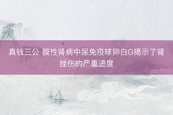 真钱三公 膜性肾病中尿免疫球卵白G揭示了肾挫伤的严重进度