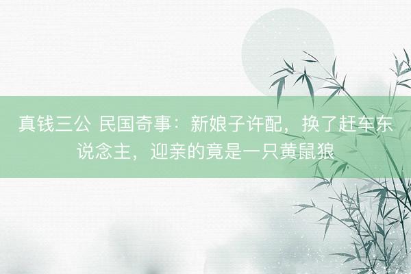 真钱三公 民国奇事：新娘子许配，换了赶车东说念主，迎亲的竟是一只黄鼠狼