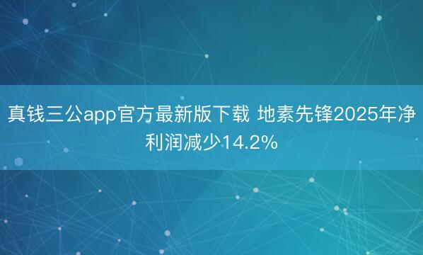 真钱三公app官方最新版下载 地素先锋2025年净利润减少14.2%