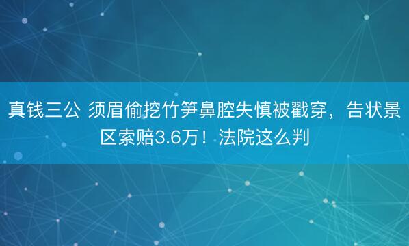 真钱三公 须眉偷挖竹笋鼻腔失慎被戳穿，告状景区索赔3.6万！法院这么判