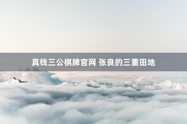 真钱三公棋牌官网 张良的三重田地