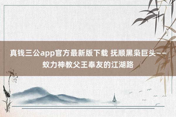 真钱三公app官方最新版下载 抚顺黑枭巨头——蚁力神教父王奉友的江湖路