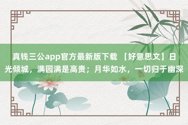 真钱三公app官方最新版下载 【好意思文】日光倾城，满园满是高贵；月华如水，一切归于幽深