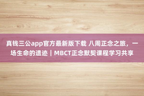 真钱三公app官方最新版下载 八周正念之旅，一场生命的遗迹｜MBCT正念默契课程学习共享