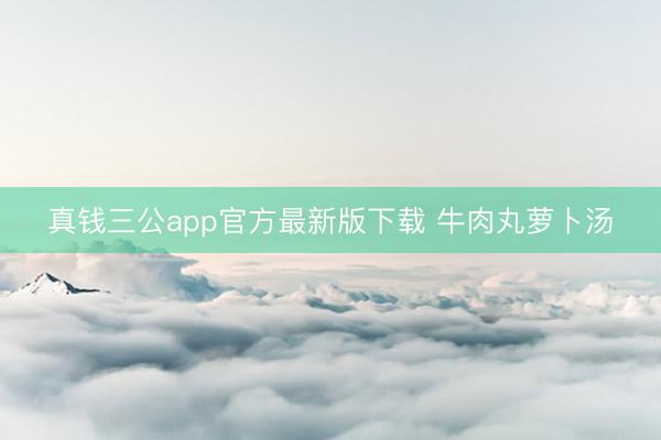 真钱三公app官方最新版下载 牛肉丸萝卜汤
