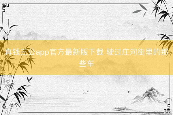 真钱三公app官方最新版下载 驶过庄河街里的那些车