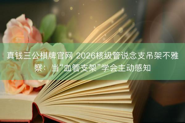 真钱三公棋牌官网 2026核级管说念支吊架不雅察：当“血管支架”学会主动感知