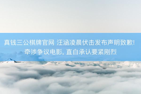 真钱三公棋牌官网 汪涵凌晨伏击发布声明致歉! 牵涉争议电影， 直白承认要紧刚烈