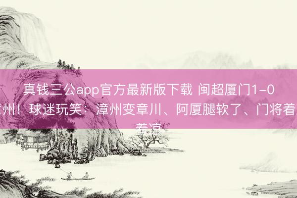真钱三公app官方最新版下载 闽超厦门1-0漳州!球迷玩笑:漳州变章川、阿厦腿软了、门将着凉
