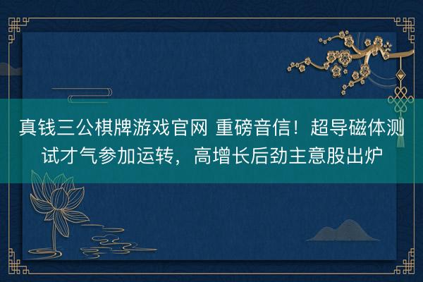 真钱三公棋牌游戏官网 重磅音信！超导磁体测试才气参加运转，高增长后劲主意股出炉