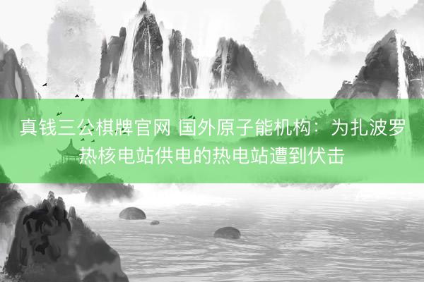 真钱三公棋牌官网 国外原子能机构：为扎波罗热核电站供电的热电站遭到伏击