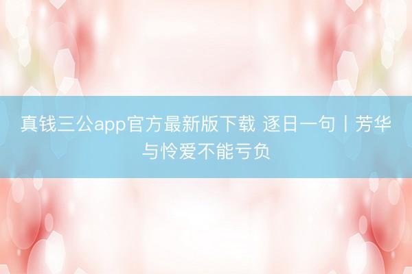 真钱三公app官方最新版下载 逐日一句丨芳华与怜爱不能亏负