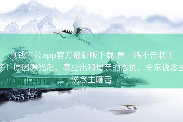 真钱三公app官方最新版下载 黄一鸣不告状王想聪了！原因曝光后，攀扯出和母亲的恩仇，令东说念主咂舌
