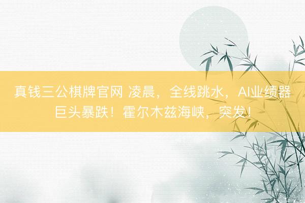 真钱三公棋牌官网 凌晨，全线跳水，AI业绩器巨头暴跌！霍尔木兹海峡，突发！