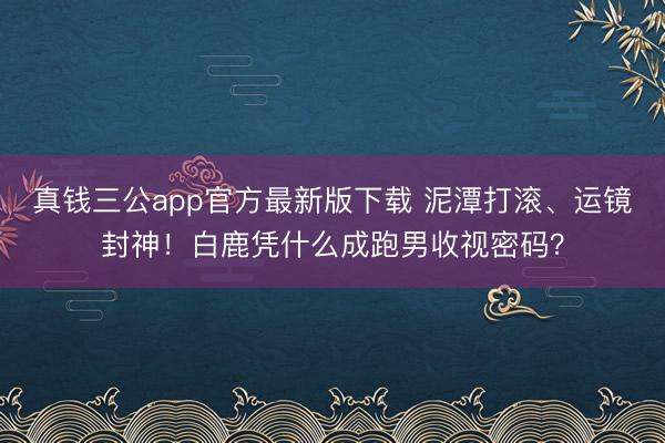 真钱三公app官方最新版下载 泥潭打滚、运镜封神！白鹿凭什么成跑男收视密码？