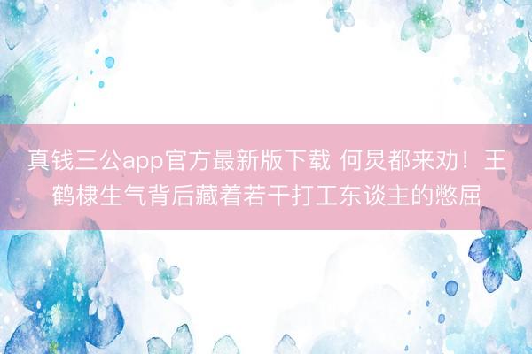 真钱三公app官方最新版下载 何炅都来劝！王鹤棣生气背后藏着若干打工东谈主的憋屈