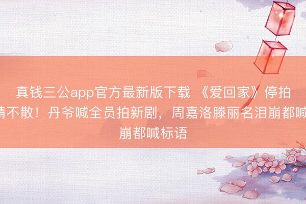 真钱三公app官方最新版下载 《爱回家》停拍9年情不散！丹爷喊全员拍新剧，周嘉洛滕丽名泪崩都喊标语