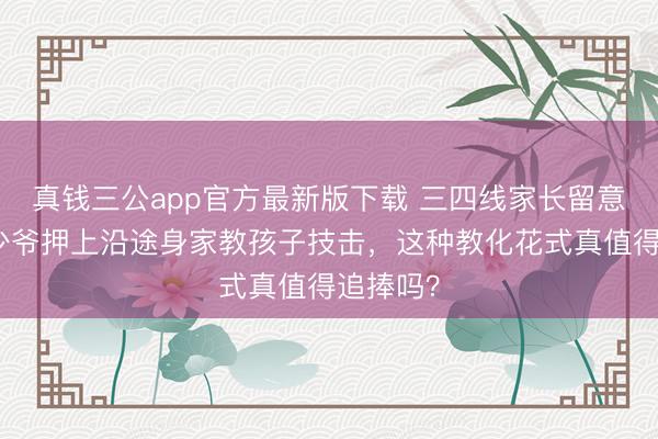 真钱三公app官方最新版下载 三四线家长留意！朱门少爷押上沿途身家教孩子技击，这种教化花式真值得追捧吗？