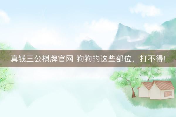 真钱三公棋牌官网 狗狗的这些部位，打不得!