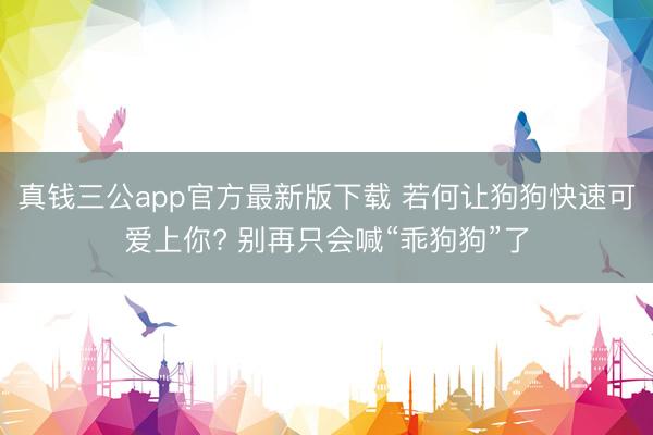 真钱三公app官方最新版下载 若何让狗狗快速可爱上你? 别再只会喊“乖狗狗”了