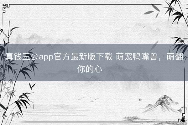 真钱三公app官方最新版下载 萌宠鸭嘴兽,萌翻你的心❤️