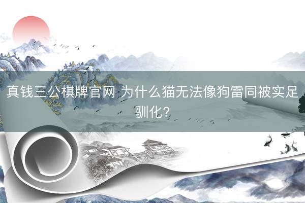 真钱三公棋牌官网 为什么猫无法像狗雷同被实足驯化?