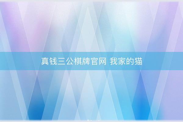 真钱三公棋牌官网 我家的猫