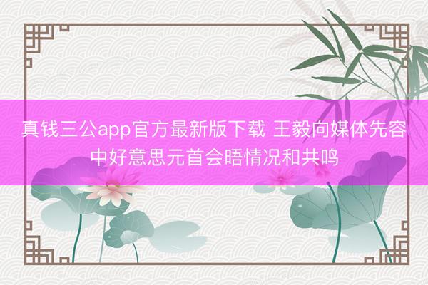 真钱三公app官方最新版下载 王毅向媒体先容中好意思元首会晤情况和共鸣