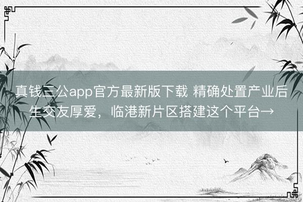 真钱三公app官方最新版下载 精确处置产业后生交友厚爱，临港新片区搭建这个平台→