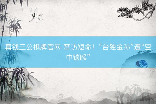 真钱三公棋牌官网 窜访短命!“台独金孙”遭“空中锁喉”
