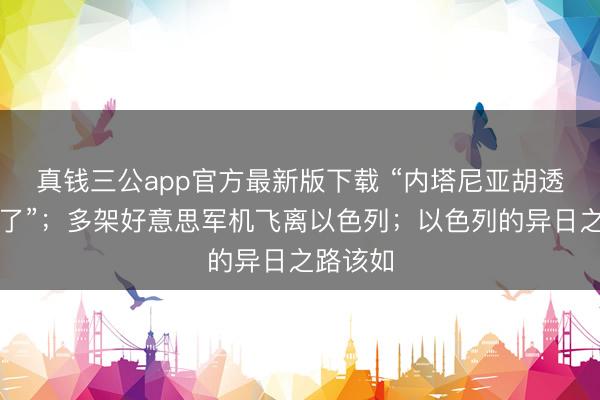 真钱三公app官方最新版下载 “内塔尼亚胡透澈失败了”；多架好意思军机飞离以色列；以色列的异日之路该如